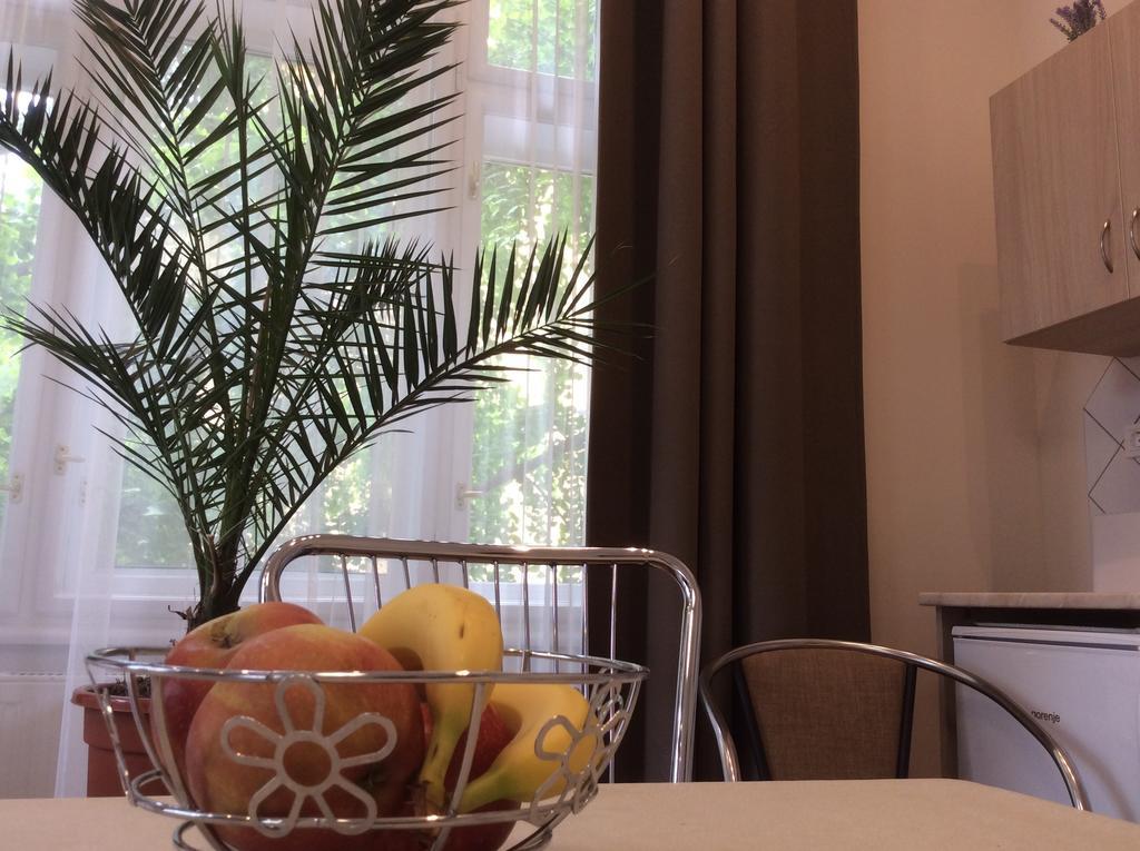 Stefania Studio Apartmanok Segedín Exteriér fotografie